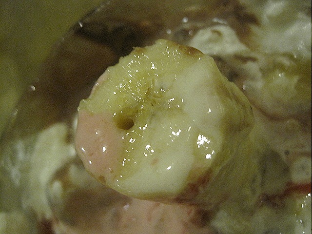 [IMG_18244.jpg]