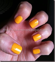 IMG_0634 IMG_0634