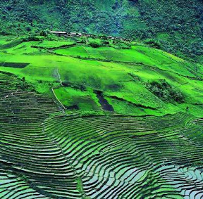 西藏旅游必去的十个小城—波密