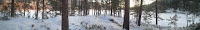 2010-12-28 14.08.32.jpg Photo