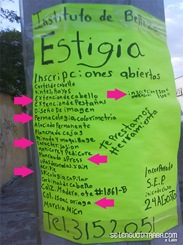 instituto