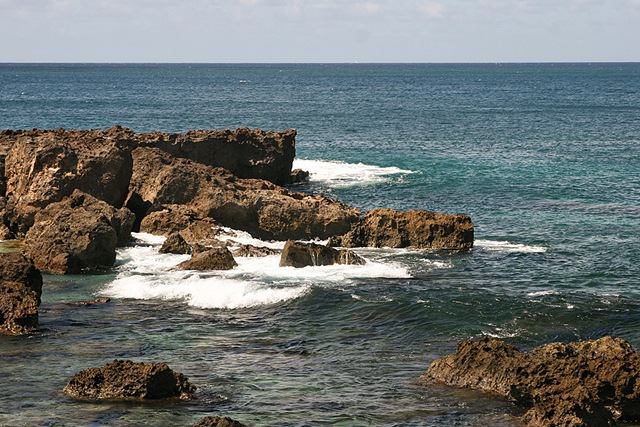 [HawaiiBlog012[4].jpg]