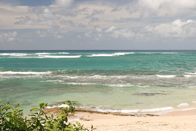 [HawaiiBlog008[4].jpg]