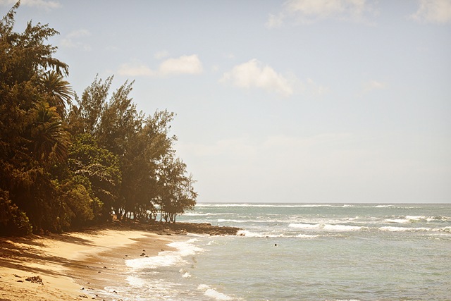 [HawaiiBlog009[4].jpg]