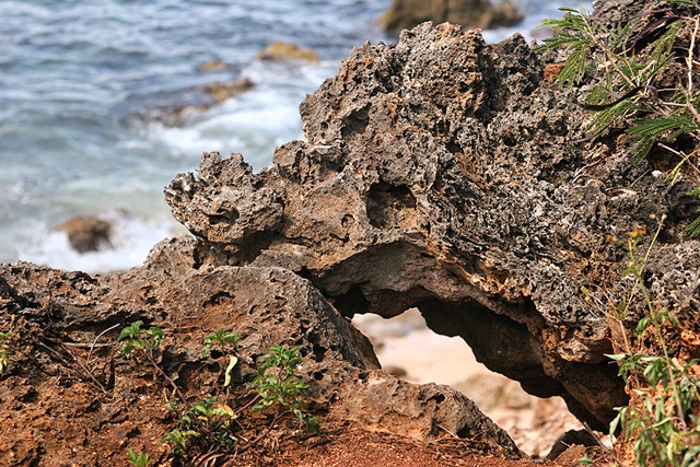 [HawaiiBlog011[4].jpg]