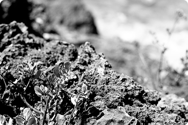 HawaiiBlog013