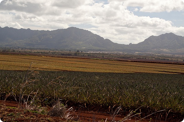 HawaiiBlog017