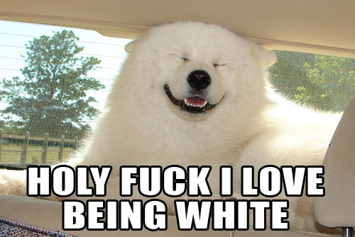 [image4.png]