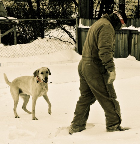 [Meeka & Dylan (1 of 1)[5].jpg]
