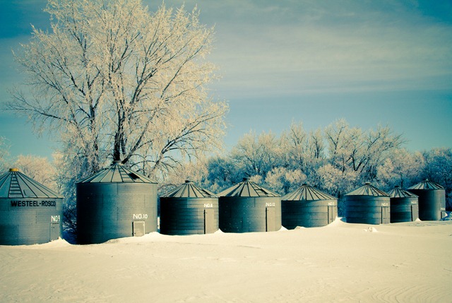 [Winter Bins (1 of 1)[3].jpg]