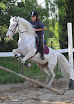 EQUIFUN-005.jpg