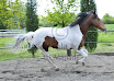 loustique-avri-08-048.jpg