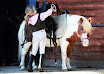 PONEY-REPR-15H-SAM-001.jpg