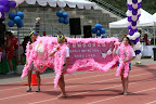 The early detection Brazil Carnival Parade begins