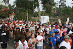 The walk begins at Laurel St. bridge in Balboa Park