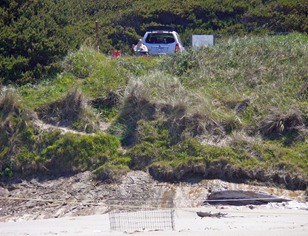 Guarding the Snowy Plover