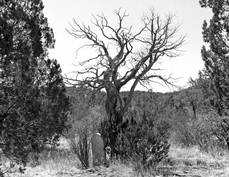 Kingston Cemetary B&W