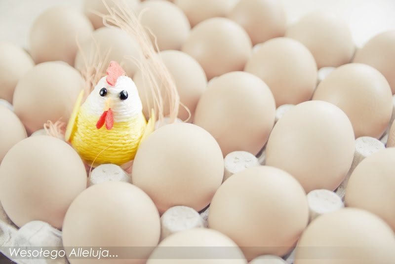 © www.drochlinski.pl, fotograf warszawa, fotograf ząbki, wesołego alleluje, jaja wielkanocne, kurczak wielkanocny