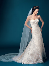 17254 - Lisa Strapless Bridal Wedding Gown