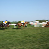 Horse Races 2009