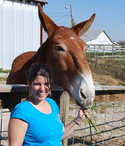 [Mule1[3].jpg]