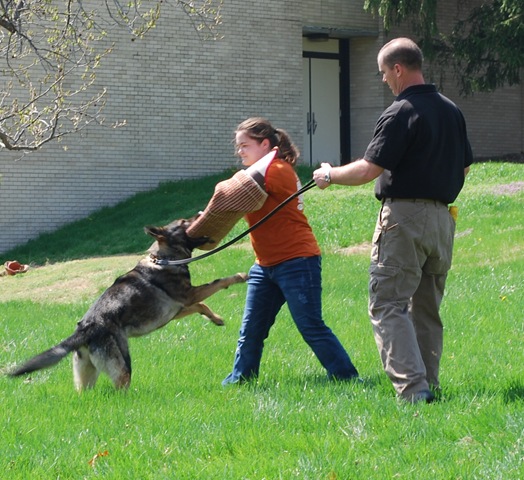 [DSC_0436[4].jpg]