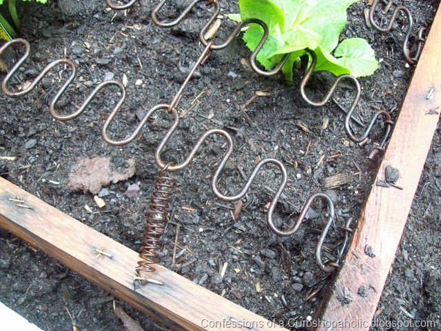 [outdoorkitchen0053.jpg]
