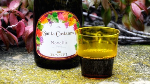wino