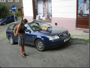 Cat on Car - Karlovy Vary Cat on Car - Karlovy Vary