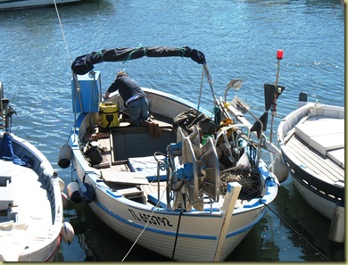 St Tropez - Harbour 3