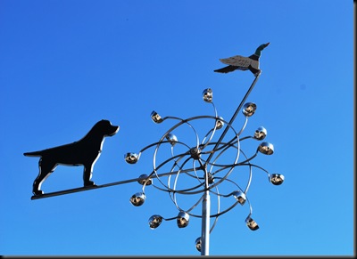 Lago Vista Dec 9 2010 - Weathervane at Kennel