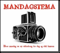 Mandagstemanylogo_thumb4