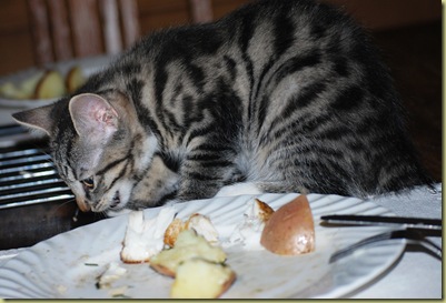 Lilli eating papas dinner