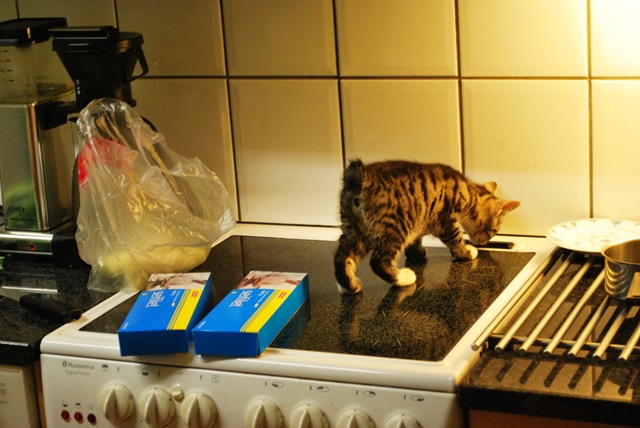 [Lillis at the Oven[3].jpg]