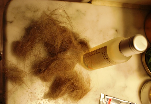 [Rosa and her fur -a real challenge[2].jpg]