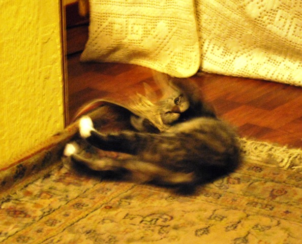 [Lillis playing - a bit too fast for papas shutter[2].jpg]