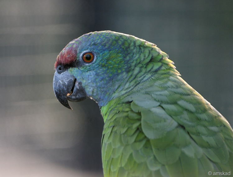 [DSC06896_ka[4].jpg]