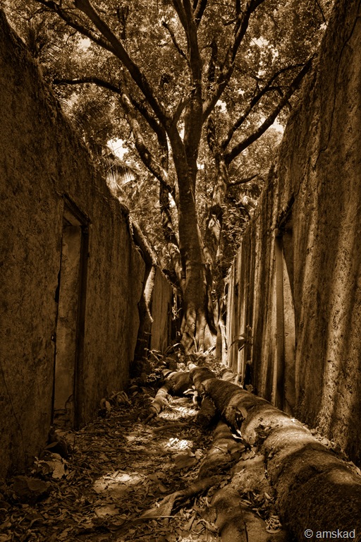 [DSC05913_ka[2].jpg]