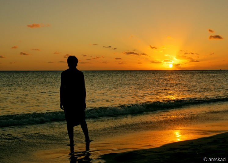 [DSC01774_ka[4].jpg]