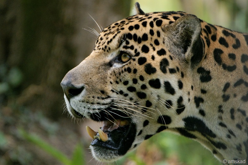 [DSC02823_ka[3].jpg]