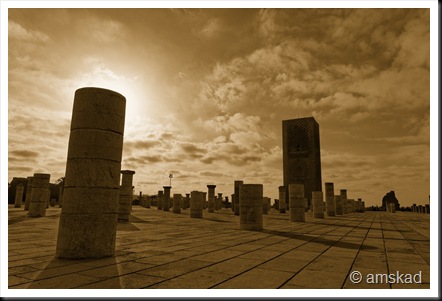 _DSC4690_ka sepia