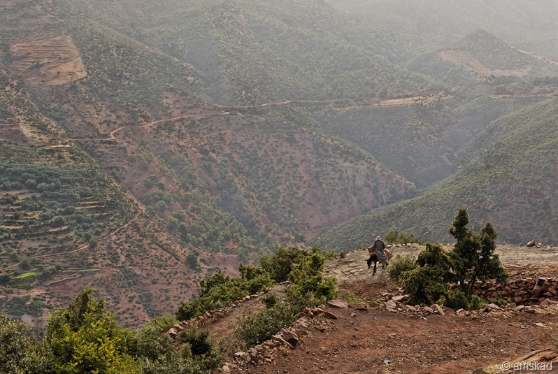 [_DSC5315_ka[3].jpg]