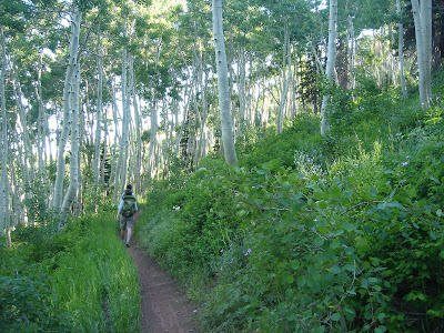 This is why I wanted to ride the Crest trail. 