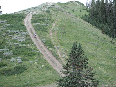 ...and some you don't want. Occasionally we made a bad route choice. In our defense, the trail map does not have topo lines.