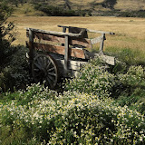 Lonely cart at Campamento Seron