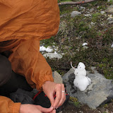 Enough snow for a tiny snowman
