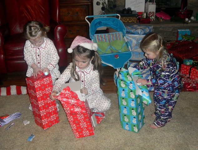 [December2163.jpg]