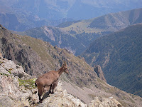 DSCN1409.JPG