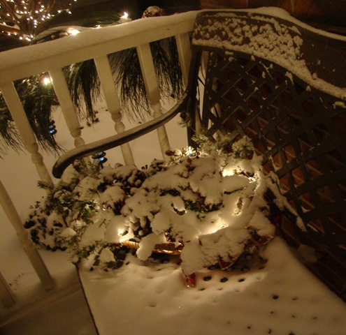 [First Snow 2009 021[2].jpg]