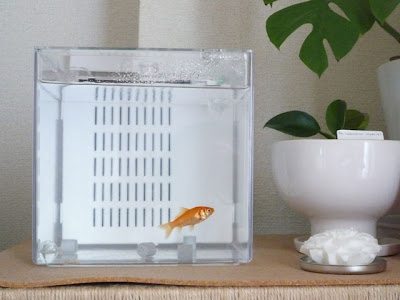 【ベストコレクション】 金魚 飼育セット 277907-金魚 飼育セット 100均